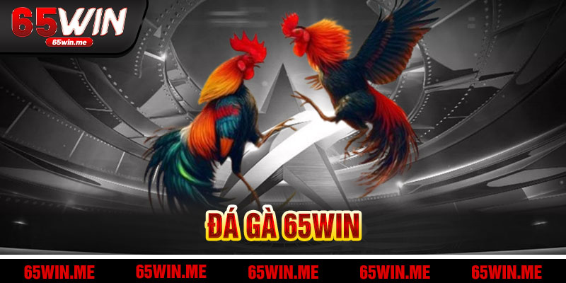 Đá Gà 65win