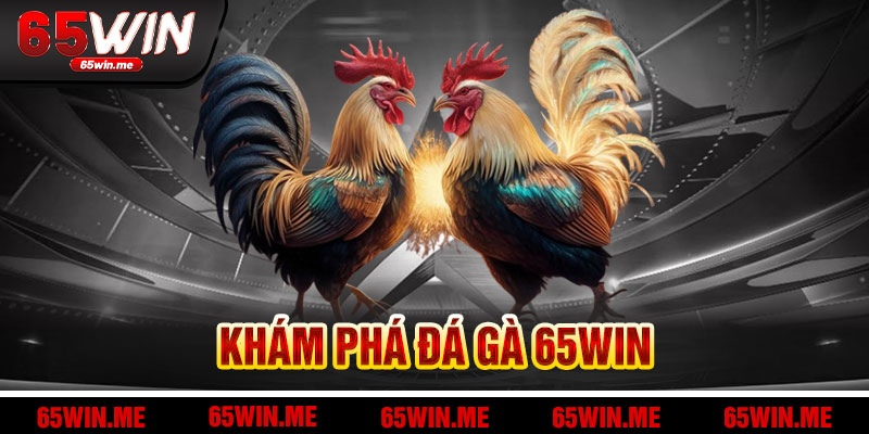 Khám Phá Đá Gà 65Win