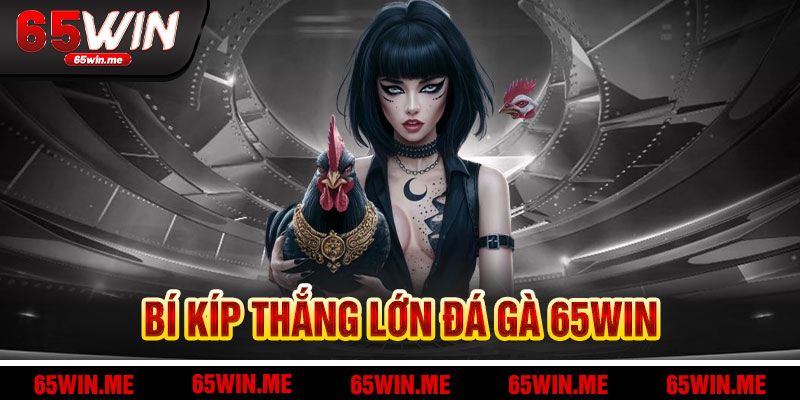 Ưu Đãi Và Bí Kíp Thắng Lớn Tại Đá Gà 65Win